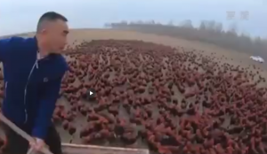 thumbimg