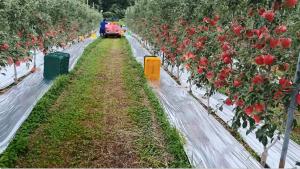 thumbimg