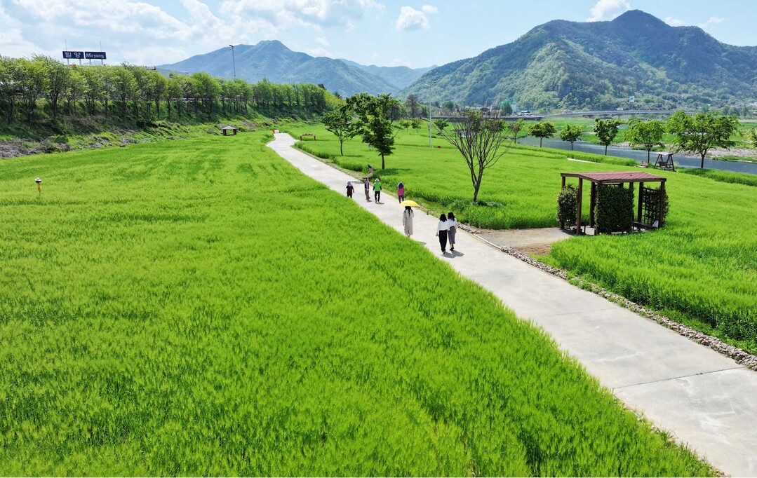 밀양 산외면 기회송림 '꽃담뜰...