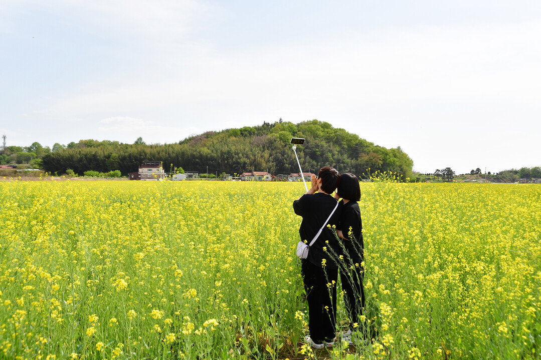 [포토] 꽃길 따라 걷는 봄…담양 유...
