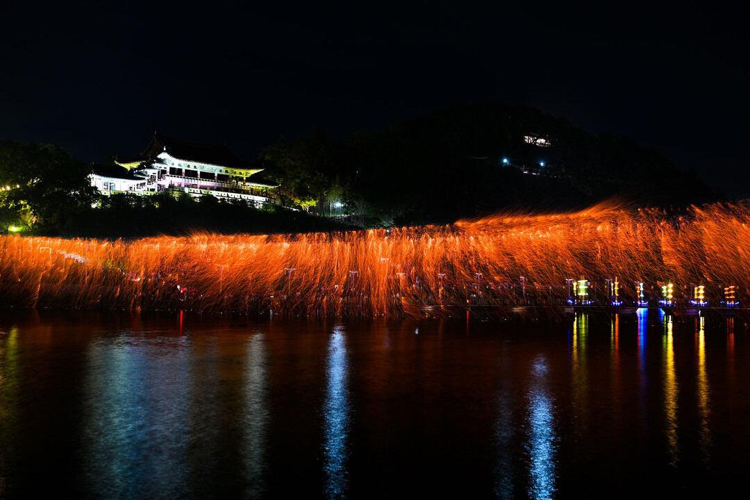 [밀양시 소식] 도민 생활지원금 지급...