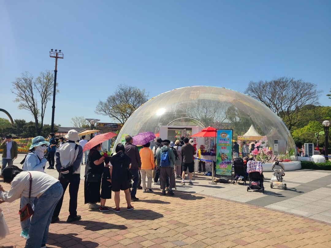나비와 교감…함평나비축제 '먹...