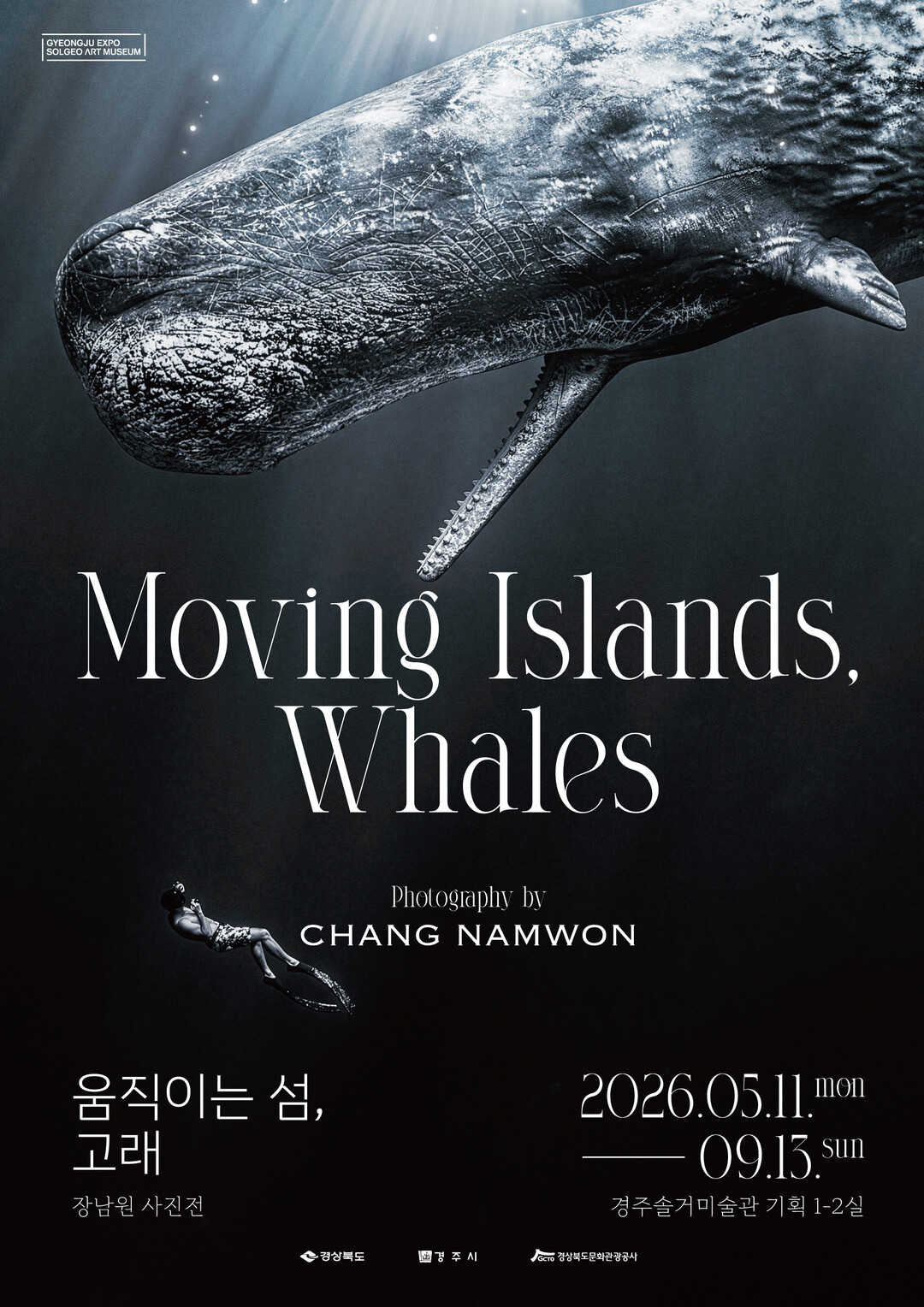 '고래를 만날 수 있는 기회&...