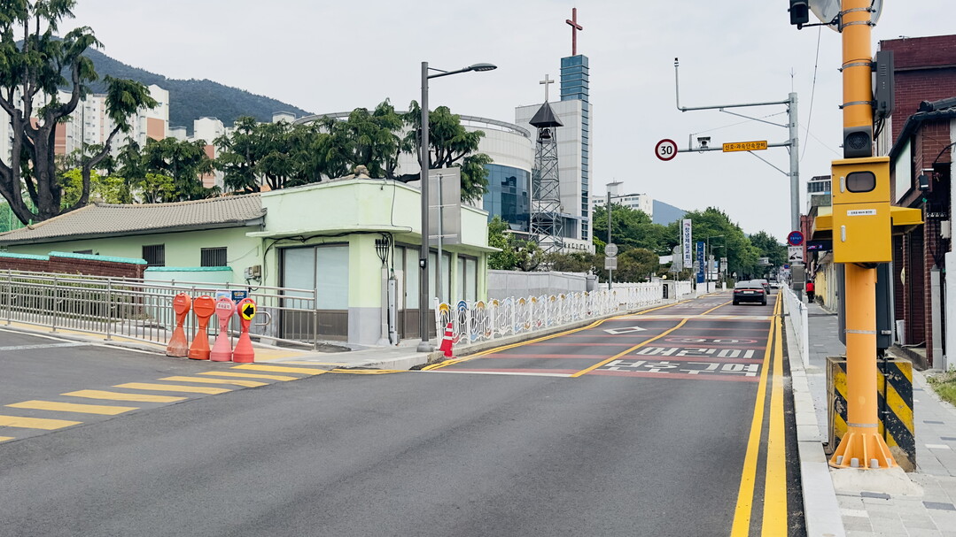 [창녕군 소식] 우포따오기 야생방사-...