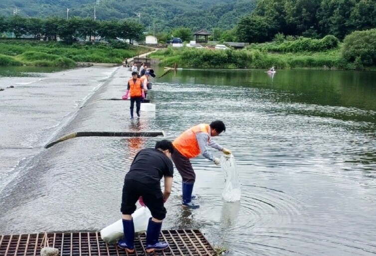 함양군, 내수면 수산종자 106만 마...