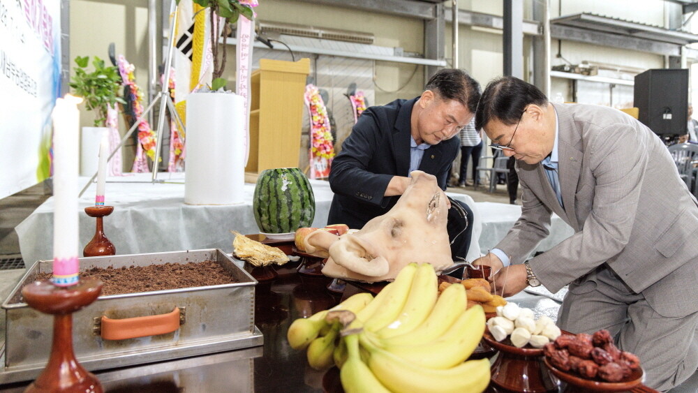 합천군, 마늘 산지경매 돌입…동부·남...
