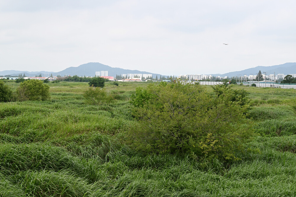 K-반도체 '붐'…건설...