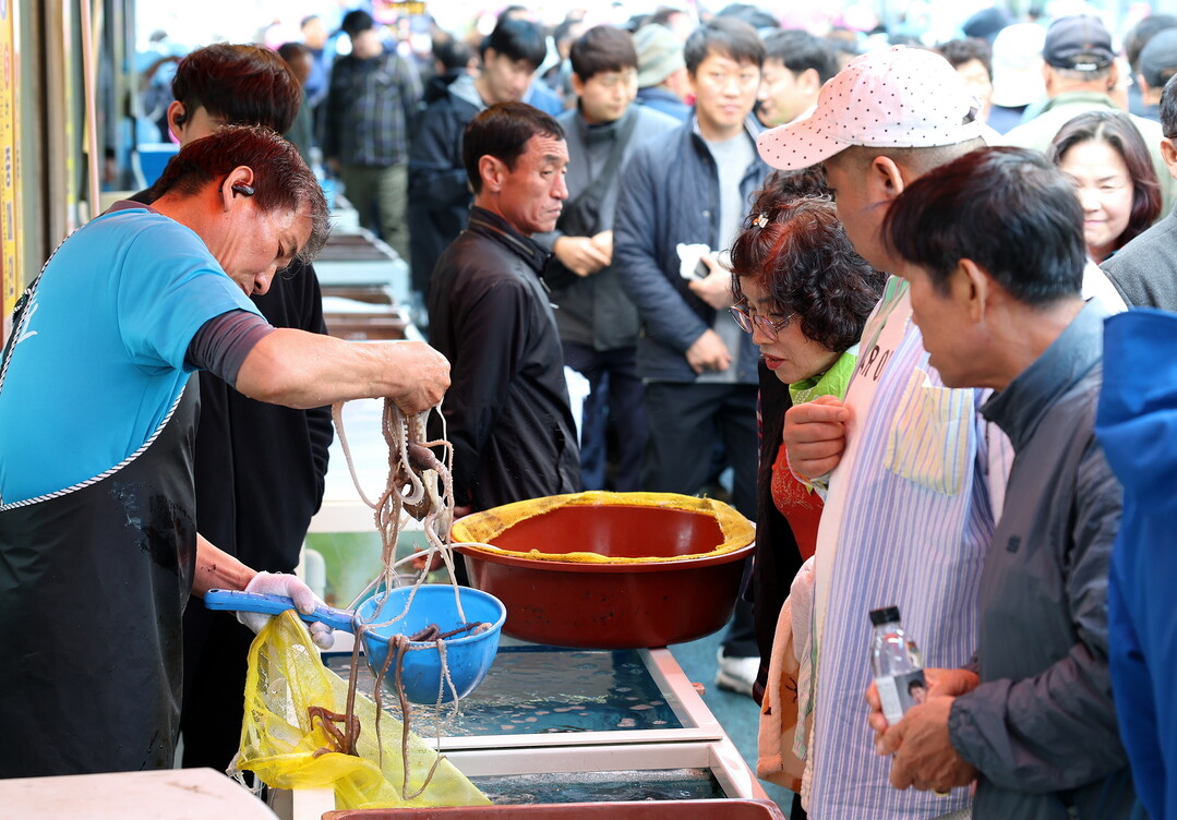 강진 마량놀토수산시장, 한여름 토요일...