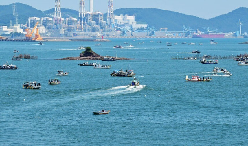 사천 삼천포 앞바다에 '돌문어...