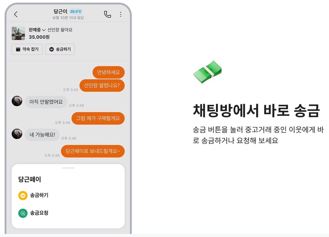 이커머스 선불충전금, 당근페이 늘고 ...