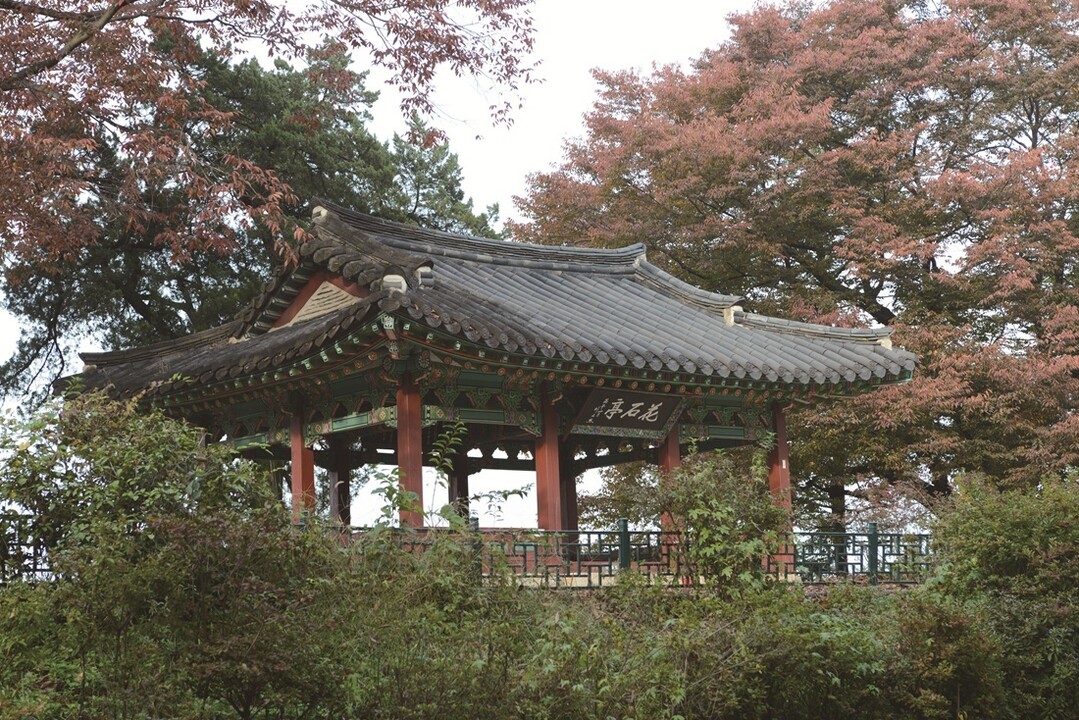 가을하늘과 임진강 벗 삼아 걷는 평화...