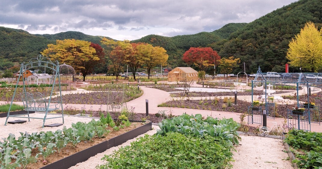 합천군, '기억채움 농장...