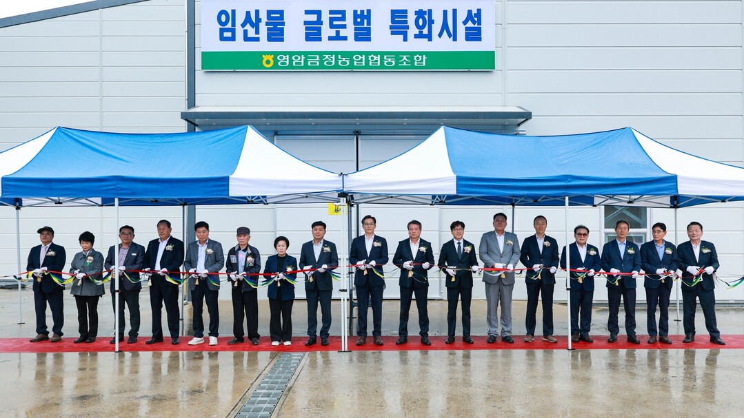 영암대봉감, 금정면 저장시설 갖추고 ...